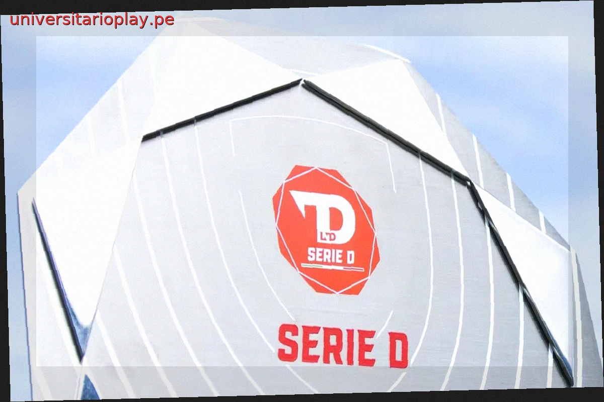 Seis equipos ascienden a la Serie D