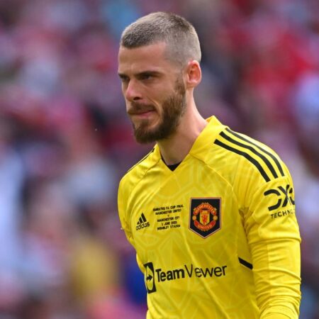 Posibles Salidas en el Manchester United este Verano