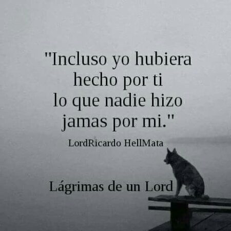 Gilmour en el banquillo también con Escocia: «Nunca es agradable, quiero demostrar al entrenador que se equivoca»