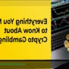 Cosas Esenciales que los Principiantes Deben Saber Antes de Apostar con Criptomonedas en la Premier League
