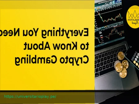 Cosas Esenciales que los Principiantes Deben Saber Antes de Apostar con Criptomonedas en la Premier League