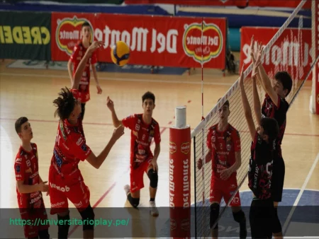 La Boy League Sub-14 llega a Fano del 9 al 11 de abril