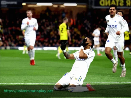 ¿Podría Crysencio Summerville Ganar un Lugar en la Selección de Países Bajos para el Mundial?