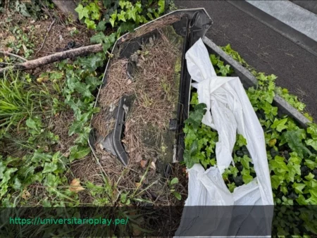 Accidente fatal en Roma: Joven de 17 años muere en colisión de coche y minicoche