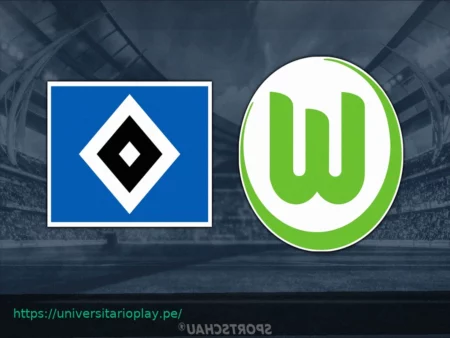 VfL Wolfsburg vs. Hamburger SV: Jornada 25 de la Bundesliga