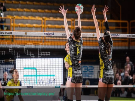 Play Off A2: ¿Brescia o Padova? ¿Quién sube a A1?