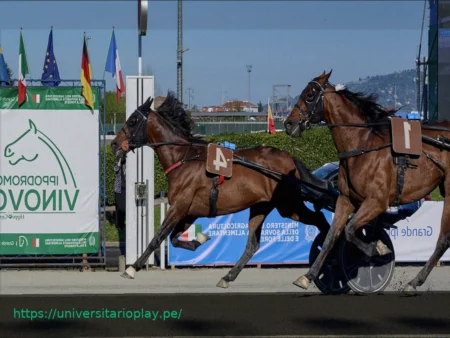 Hípica, Turín: Gran Premio Costa Azul, triunfo histórico de Always EK. Éxitos también para Giovaz y Guglielmo Jet en los Derbis de 4 años.