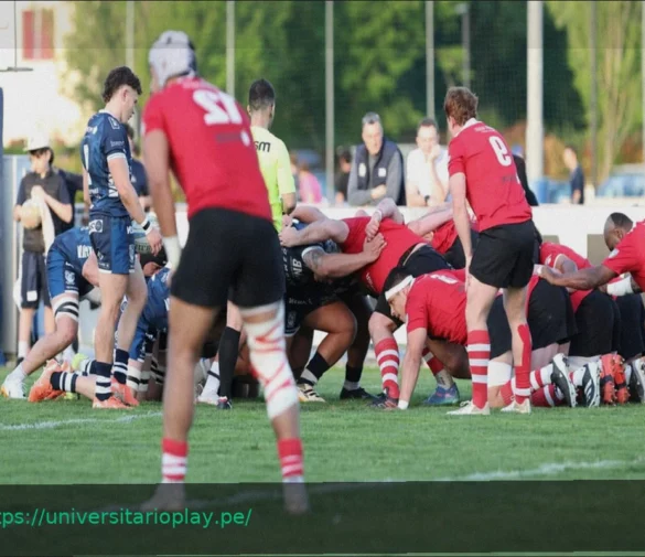 Previa de la Jornada 17 de la Serie A Élite: Mogliano acoge el derbi contra Rangers Vicenza