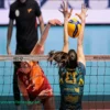 Copa CEV: Chieri en Estambul, a por la remontada ante Galatasaray