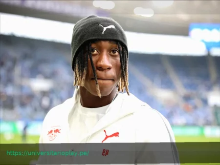 Disputa legal por Yan Diomande: Sanción y posible conflicto con Max Gradel