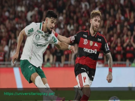 Copa Libertadores: El Pronóstico Favorece al Palmeiras en el Grupo F