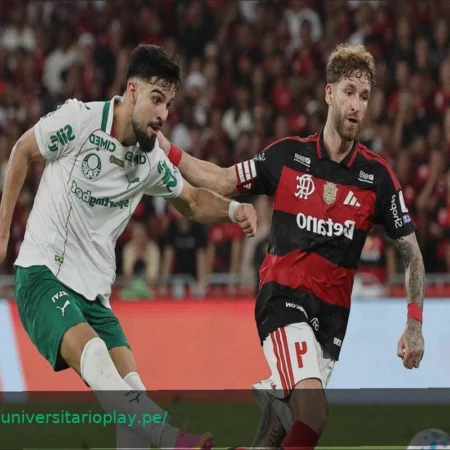 Copa Libertadores: El Pronóstico Favorece al Palmeiras en el Grupo F
