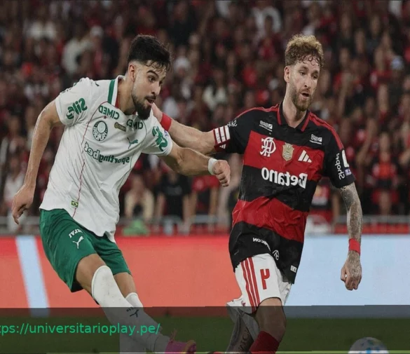 Copa Libertadores: El Pronóstico Favorece al Palmeiras en el Grupo F