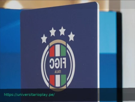 Elecciones FIGC: Cómo funcionan y cómo votar | Reglamento y Proceso