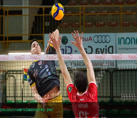 Volley Mercato: Andrea Pegoraro da Lagonegro a Porto Viro