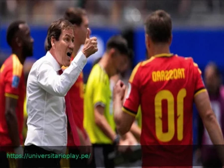Belgio, solo la vittoria contro la Nuova Zelanda: quote e pronostico