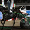 Trotto, sabato al Garigliano va in scena il Gran Premio Freccia d&rsquo;Europa