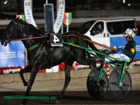Trotto, sabato al Garigliano va in scena il Gran Premio Freccia d&rsquo;Europa