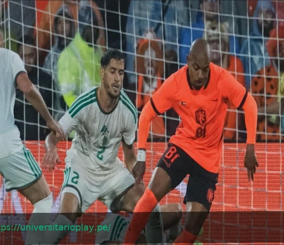 Malen-Lautaro Martínez: La batalla por el gol se renueva en el Mundial